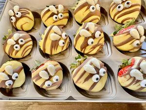  at Chamberlains Chocolate Factory and Cafe in Roswell