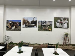   at Love It Vegan  in Torrington