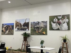   at Love It Vegan  in Torrington