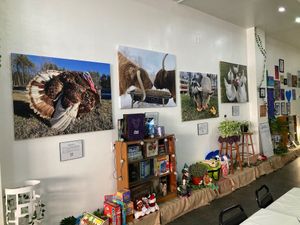 Residents of the JP Farm Animal Sanctuary in Litchfield  at Love It Vegan  in Torrington