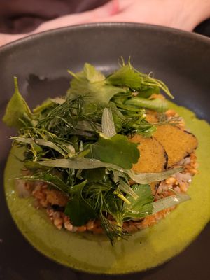 Seitan iodé at La Belle Verte in Toulouse