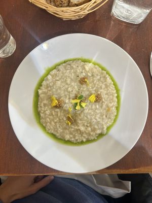   at La Belle Verte in Toulouse