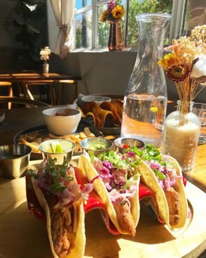 Fish Tacos, Birria Tacos, Calamari  at The Ginger Mule in Houston