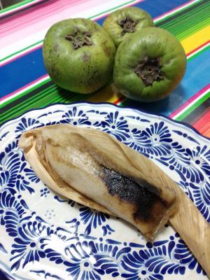 Tamal de zapote negro at Chamaca Vegana in Mexico City