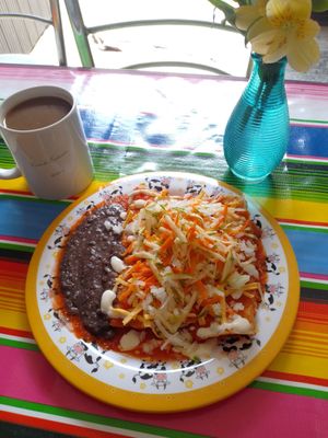Enchiladas rojas incluye plato de fruta con granola at Chamaca Vegana in Mexico City