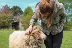  at Land der Tiere - Lebensort für gerettete Tiere und veganes Tierschutzzentrum in Vellahn