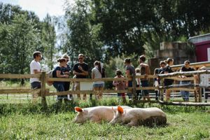  at Land der Tiere - Lebensort für gerettete Tiere und veganes Tierschutzzentrum in Vellahn