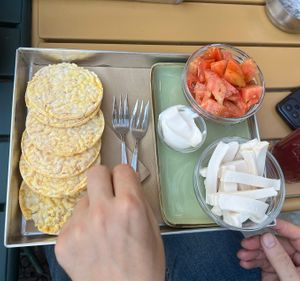 Fake mozzarella, tomatoes, veg mayo  at Flora et Labora in Milan