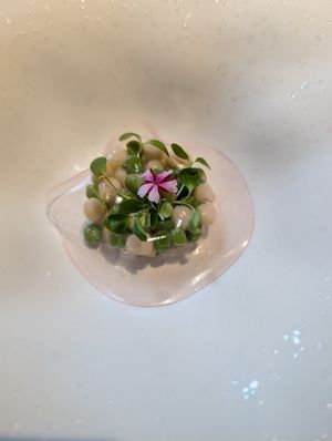  at King's Joy 京兆尹 in Beijing