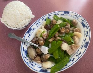Mixed mushrooms, snow peas, and water chestnuts  at Royal Dragon in Georgetown