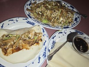 Mushu/mooshoo/mooshi vegan chicken at Royal Dragon in Georgetown