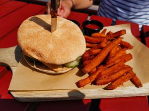 Orlando chik'n with sweat potato fries at Cafe Del Sol in Fulda