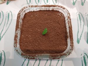 Tofu Tiramisu at Plantude - I'Park Mall Yongsan in Seoul