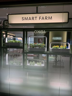   at Plantude - I'Park Mall Yongsan in Seoul