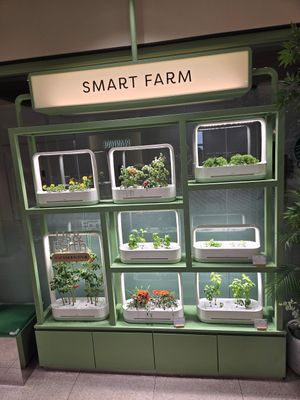  at Plantude - I'Park Mall Yongsan in Seoul