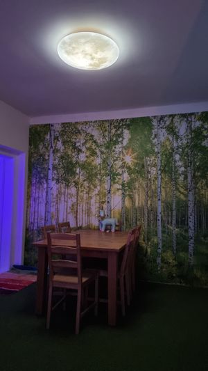 Have dinner under the moon in my enchanted forest dining room at Bohemia Wonderland in Horni Kruty