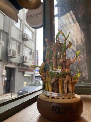 Interior  at Falafel's in Istanbul