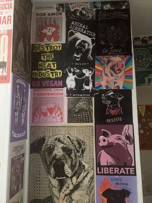 political statements  at María Candela  in Bogota