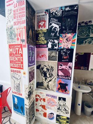   at María Candela  in Bogota