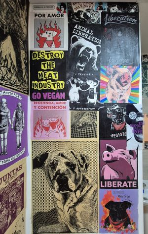  at María Candela  in Bogota