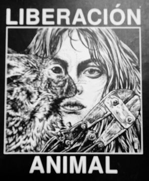  at María Candela  in Bogota