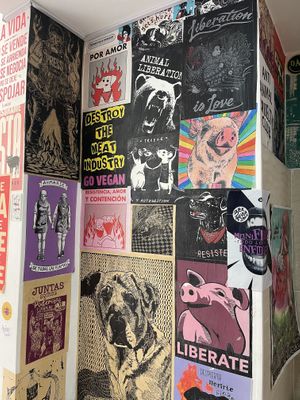   at María Candela  in Bogota