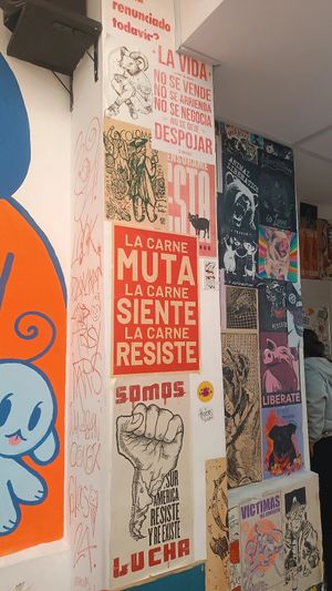  at María Candela  in Bogota