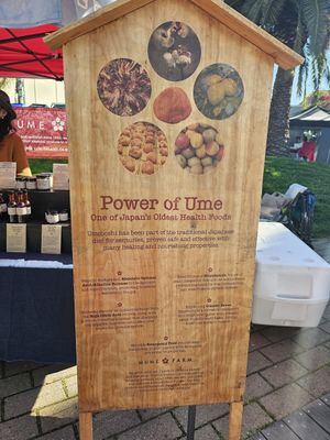 Power of ume at Mume Farm in Orland