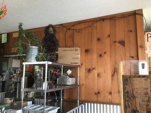   at Green Salmon Coffee and Tea House in Yachats