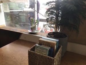   at Green Salmon Coffee and Tea House in Yachats