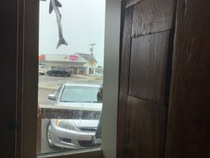   at Green Salmon Coffee and Tea House in Yachats