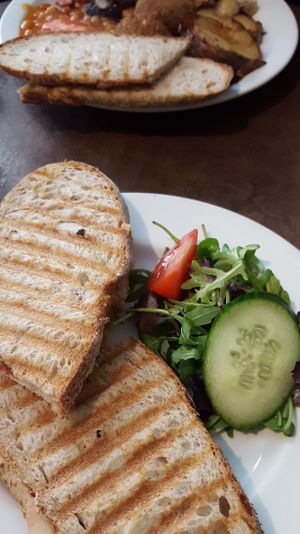 Toasted sandwich (falafel and hummus) at Organic Deli Cafe in Oxford