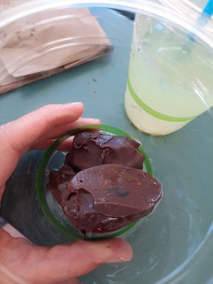 Dates with peanutbutter and chocolate at Ahonui in Kahului