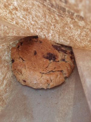 Cookie at Ahonui in Kahului