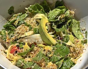 Garden Salad at Vegan Chefcita Homemade Foods in Puerto Vallarta