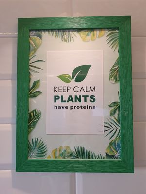  at Green Bowl in Genoa