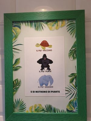  at Green Bowl in Genoa