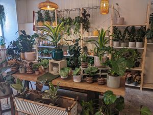 Flowers inside of Full Bloom Café at Full Bloom Café in Nice