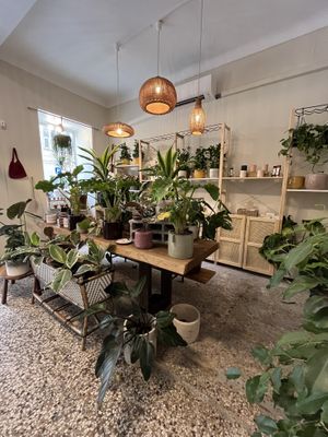   at Full Bloom Café in Nice