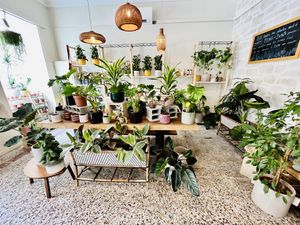   at Full Bloom Café in Nice