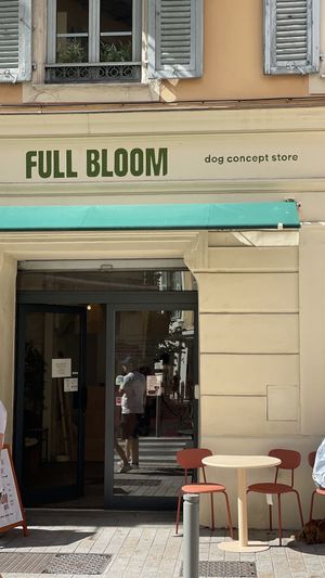   at Full Bloom Café in Nice