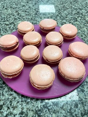 Macarons🥰 at Tranquility Donkey Association & other Rescues - The Yoga Tarte in Estivaux