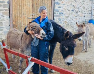 More donkeys at Tranquility Donkey Association & other Rescues - The Yoga Tarte in Estivaux