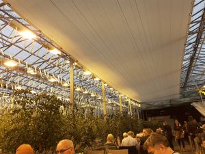 Lovely ambience at Friðheimar in Selfoss