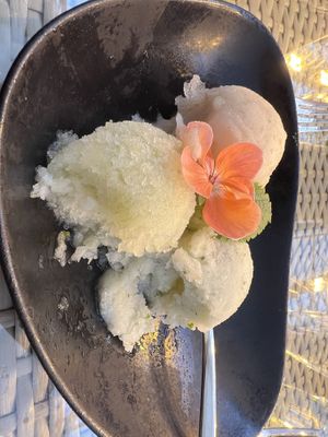 Vegan tomato, cucumber, mint sorbet   at Friðheimar in Selfoss