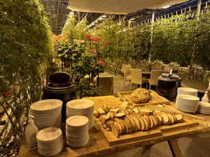   at Friðheimar in Selfoss