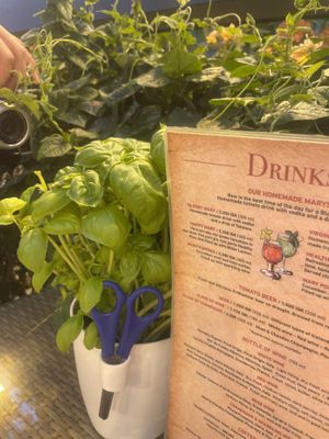   at Friðheimar in Selfoss