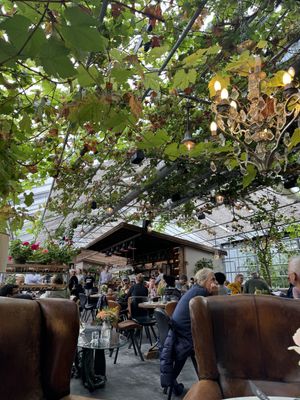   at Friðheimar in Selfoss