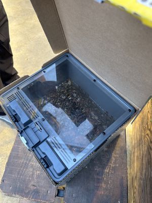 Bee box inside the restaurant   at Friðheimar in Selfoss