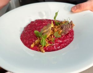 Beetroot Risotto  at Tonnau Restaurant in Criccieth